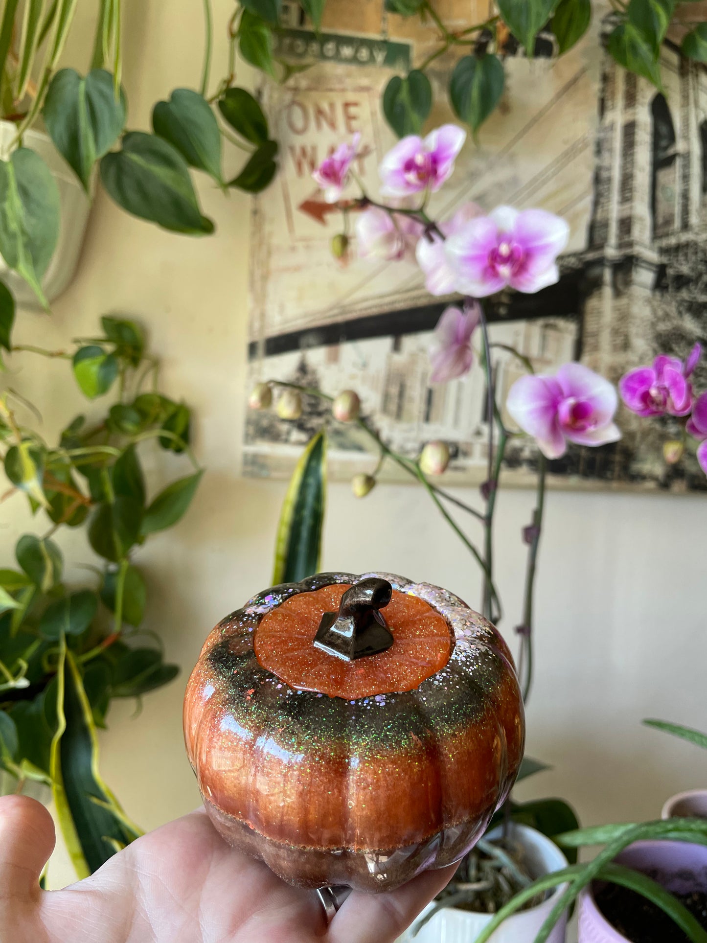 Pretty Pumpkins